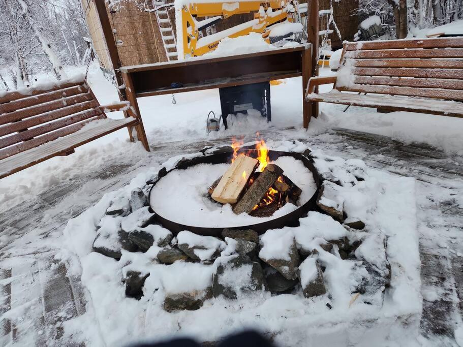 The Eagle'S Nest Treehouse Cabin Palmer Εξωτερικό φωτογραφία